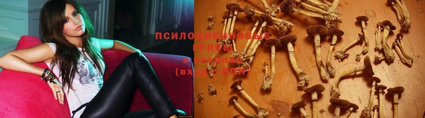 спиды Армянск