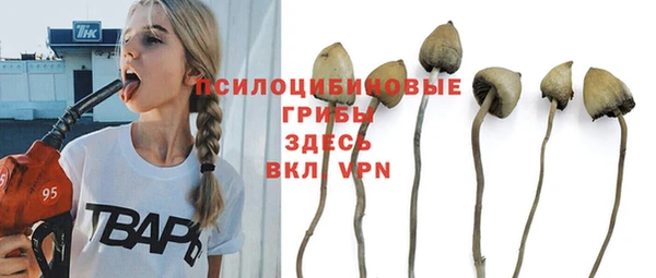 МДМА Арсеньев