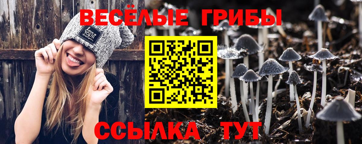 Барабинск  Галлюциногенные грибы Psilocybe  Вход с VPN 